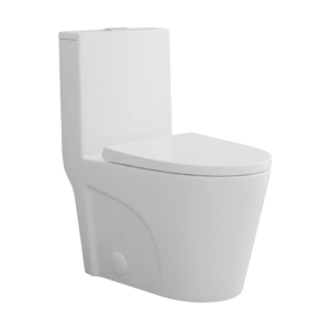 FORM PLUS ONE PIECE TOILET AXIS