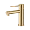 TAGISH CHAMPAGNE BRONZE