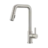 FP NODE VEC KITCHEN FAUCET BN