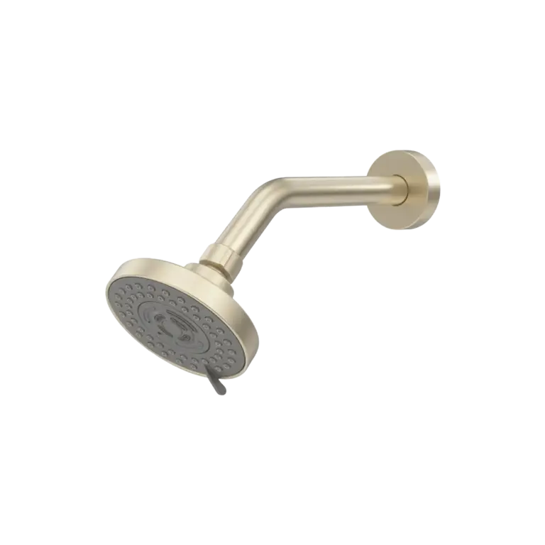 FORM PLUS 4 INCH CIRC MULTI SHOWERHEAD CB