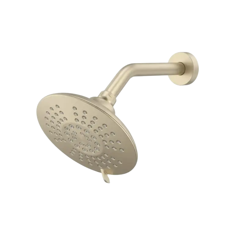 FORM PLUS 6 INCH CIRC MULTI SHOWERHEAD CB