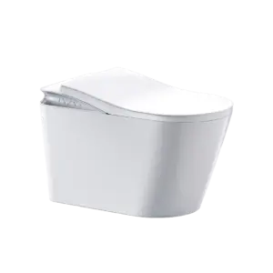 FP SMART TOILET V5