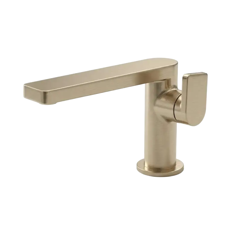 FP TORRENT IV CB