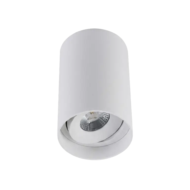 AXIS SURFACE GIMBAL MW